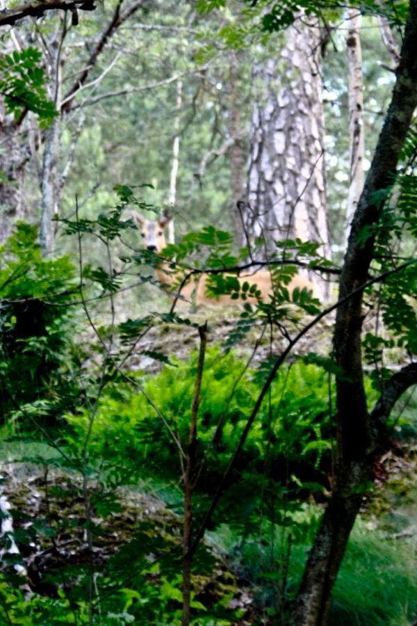 Bed&Breakfast In Nature 12 Min From City Free Bikes Stoccolma Esterno foto