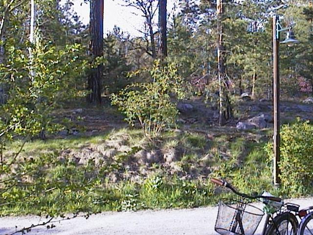 Bed&Breakfast In Nature 12 Min From City Free Bikes Stoccolma Esterno foto